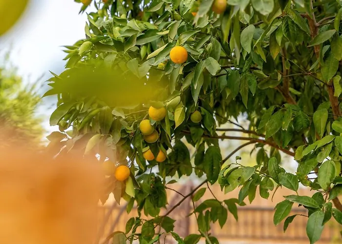 Gaia Tiny Butik Отель типа 