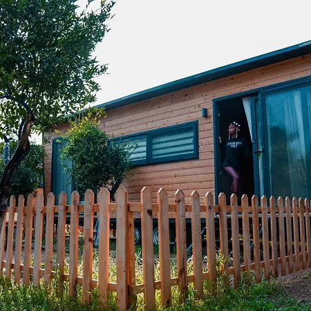 ベッド・アンド・ブレックファスト Gaia Tiny Butik ボドルム