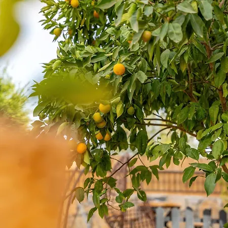 Gaia Tiny Butik ベッド・アンド・ブレックファスト 3*