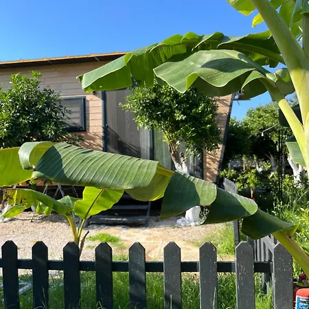 Gaia Tiny Butik ベッド・アンド・ブレックファスト