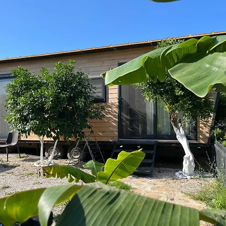 Gaia Tiny Butik Bed and Breakfast *