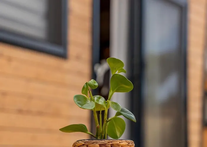 Gaia Tiny Butik Oda ve Kahvaltı 3*