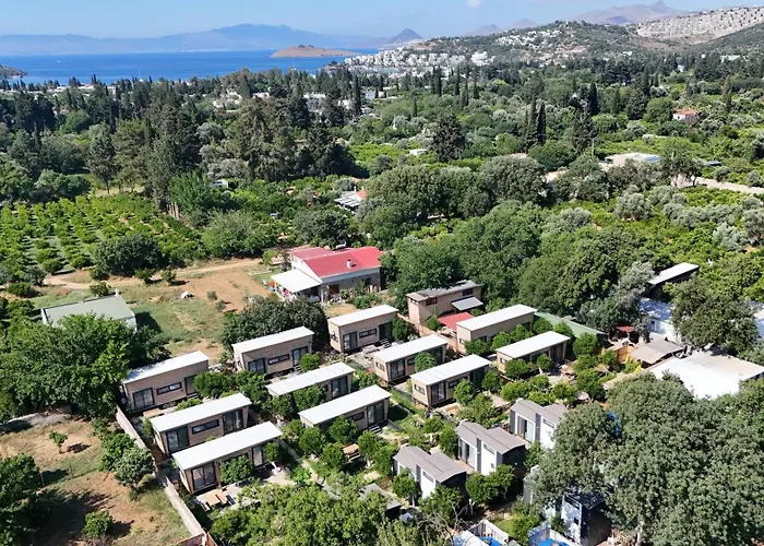 Gaia Tiny Butik 3* Bodrum