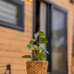 Gaia Tiny Butik Bed and Breakfast 3*