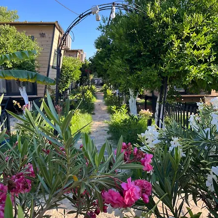 住宿加早餐酒店 Gaia Tiny Butik 博德鲁姆