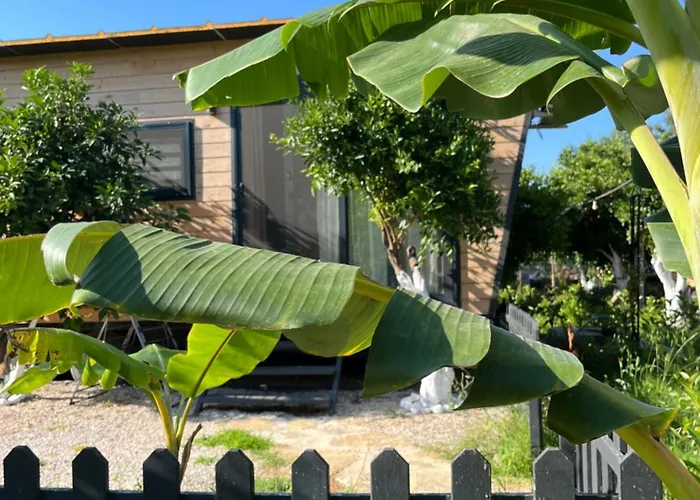 Gaia Tiny Butik Alojamento de Acomodação e Pequeno-almoço